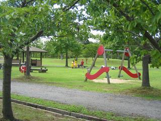 青々と茂った木々がある公園内に遊具がある様子を正面から撮った写真