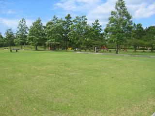 空は快晴で白虎山公園子供の運動広場を前から撮った写真