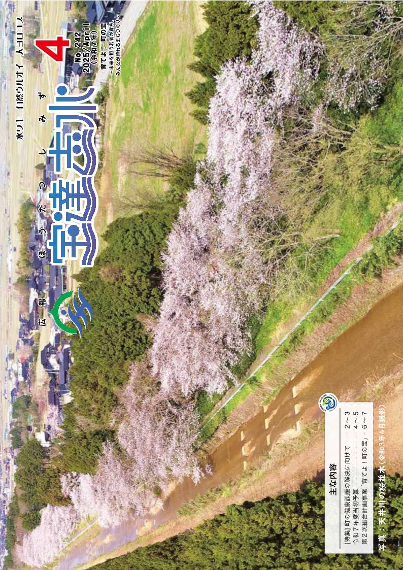 天井川の桜並木