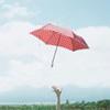 写真下部から出ている手が傘を空に放り投げている写真