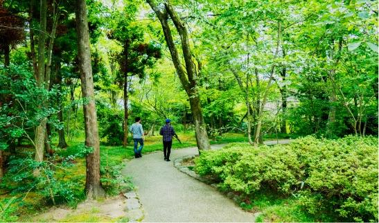 森の中を散策する2人の写真