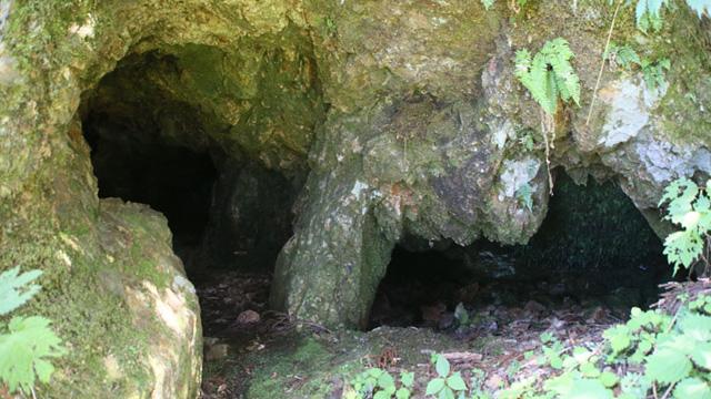 でこぼこした岩の壁に、二つの小ぶりな穴があいている写真