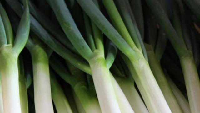 収穫されたネギがたくさん並べられている写真