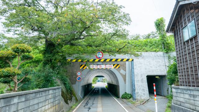 道路を挟んで右にある和風の住宅と左にある桜の木の奥に、短いトンネルがある写真