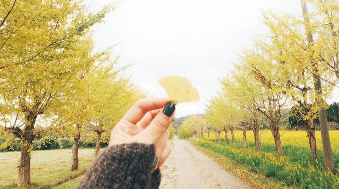 林道の中でイチョウの葉を手で持っている写真