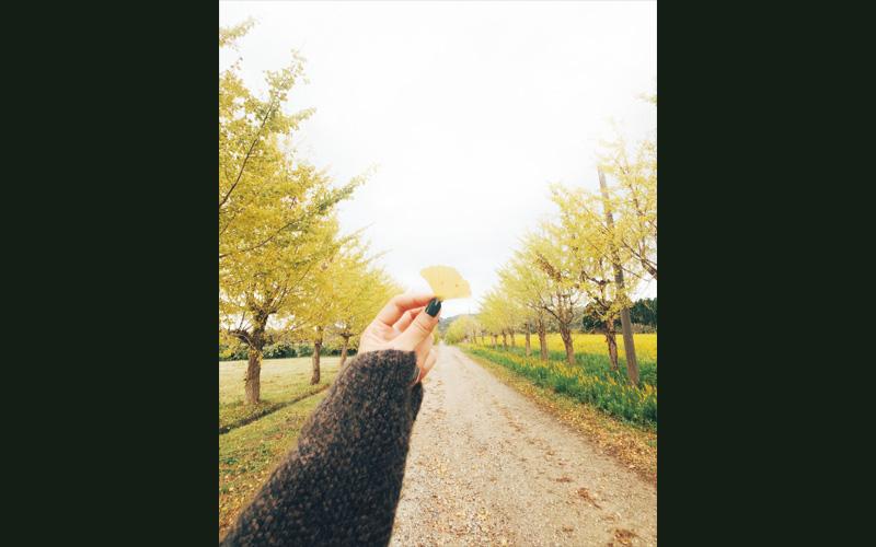 林道の中でイチョウの葉を手で持っている写真
