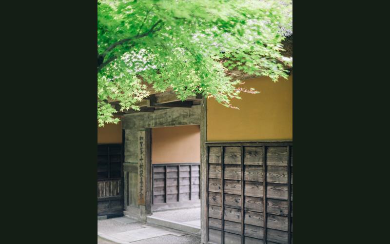 木造の門と手前の木の枝が写っている写真