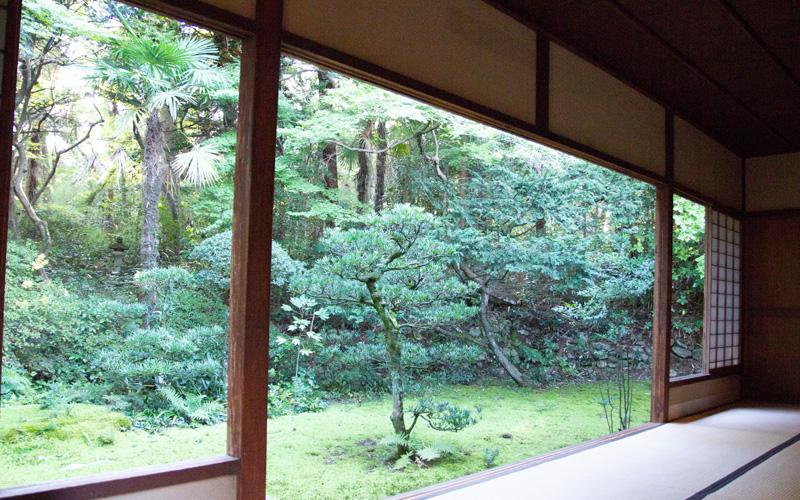 戸がほとんど全開の状態の和室内から外の草木が見えている写真