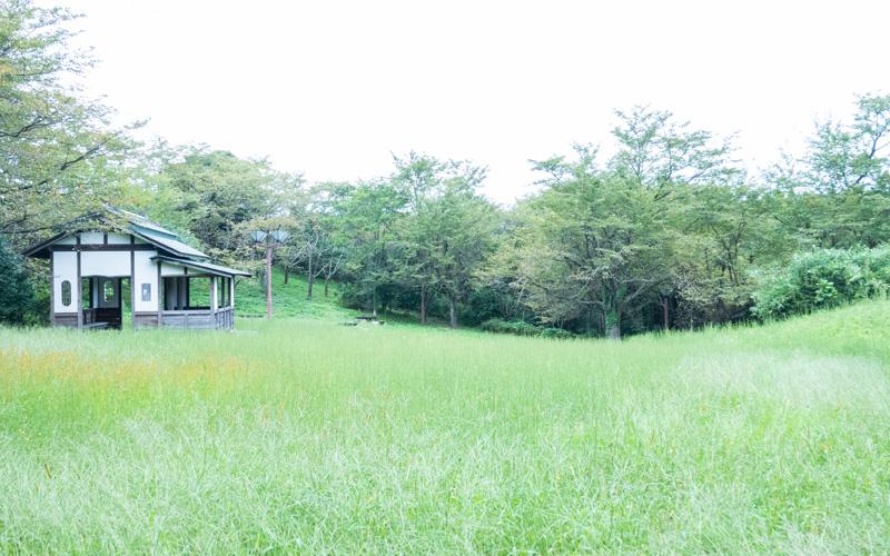 草木の生い茂る広場の端に、和風の休憩所が建っている写真