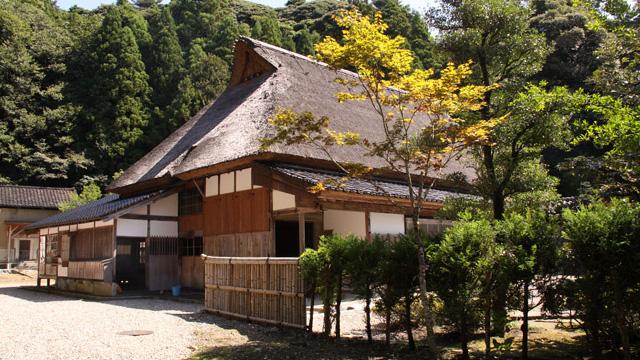茅葺屋根の建物と手入れされた木の写真
