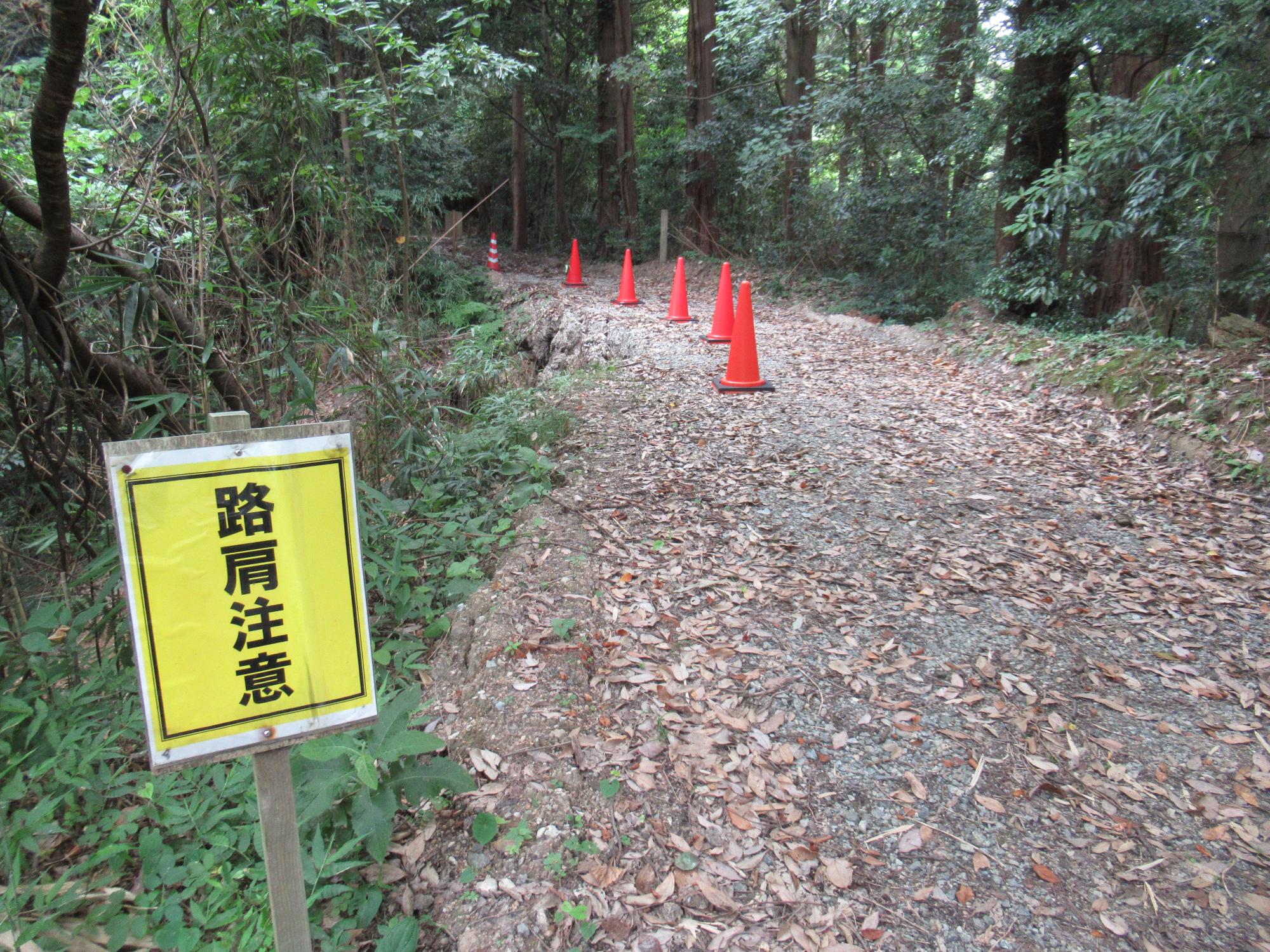 末森城跡 崩落地点（西から）