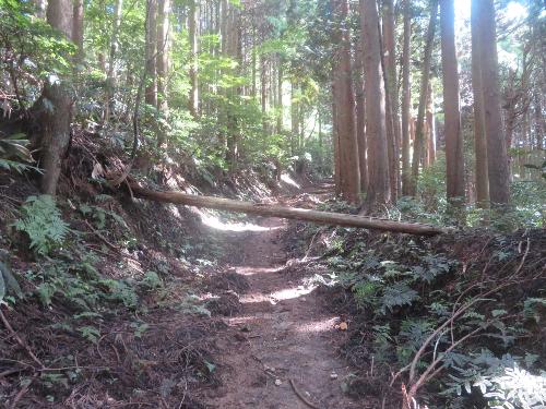 令和8年8月_臼ヶ峰往来豪雨被害04
