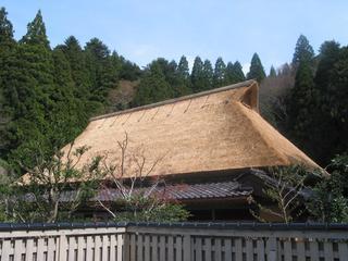 生い茂る木々の中に建っている県指定有形文化財岡部家を写した写真