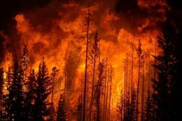 山林が炎で燃え盛り赤々とした煙が空高く広がっている様子を撮影した写真