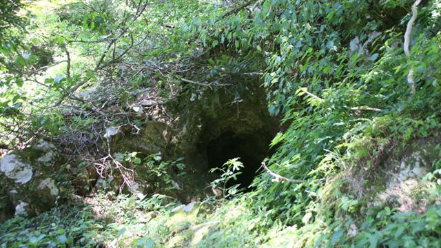 鬱蒼とした森の中に、洞窟の入り口があいている写真