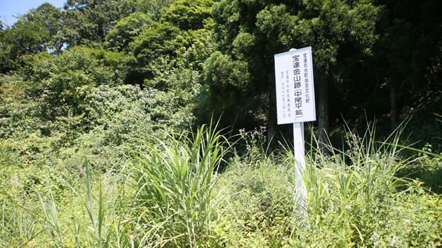 草むらの中に、宝達金山跡（中尾平鉱）と書かれた看板が立っている写真