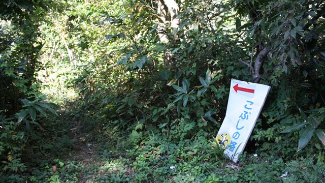 林道の中に、こぶしの路と書かれた案内板が置いてある写真