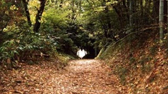 鬱蒼とした山道に竹や笹が生い茂り木のトンネルが出来ている写真