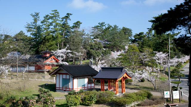 敷地内に、桜の木や朱色の建物がいくつか建っている写真