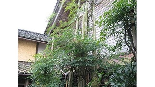 和風の建物の横に、緑の木の茂みがある写真