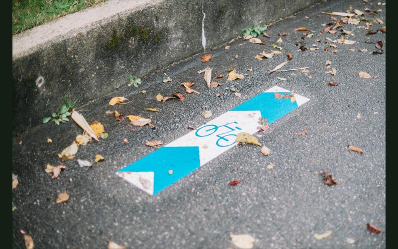 道路に書かれている自転車通行マークの周りに落ち葉が散らかっている写真