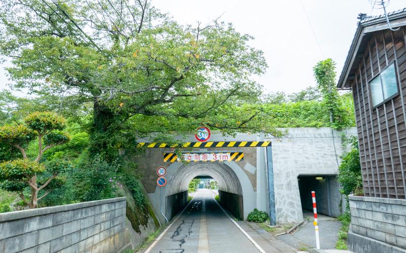 右にある和風の住宅と左にある桜の木の奥に、短いトンネルがある写真