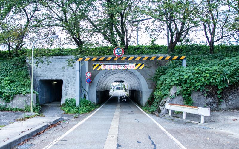 車道にかかる小さなトンネルの上に、桜の木が並んで植わっている写真