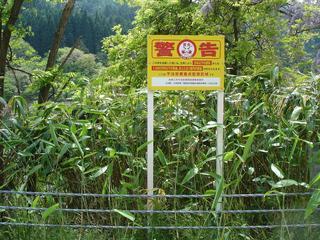 草木が生い茂る中に設置された「警告」と書かれた不法投棄を注意する看板の写真